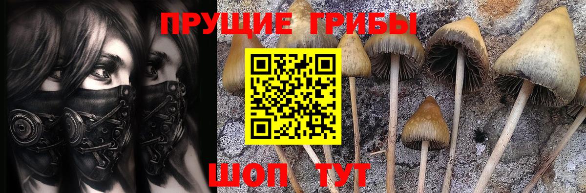 Псилоцибиновые грибы мухоморы Каменск-Шахтинский